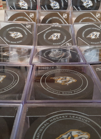 Hockey Pucks